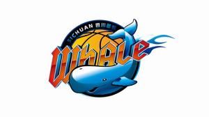 媒体人：四川少主还在推动股权转让 此前向篮协申请延期准入评估图片